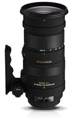 Sigma 50-500mm f4.5-6.3 APO DG OS HSM Lens Review – A Field Test